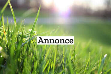 Inspiration til din have