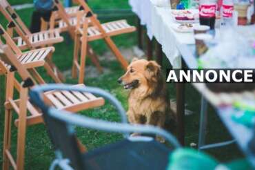 Guide til den perfekte havefest